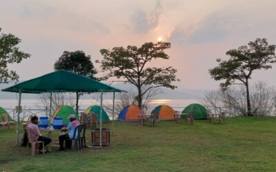 PHOTO-2020-11-19-20-05-44-9