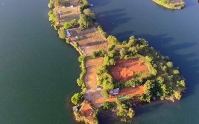 PHOTO-2020-11-19-20-06-21