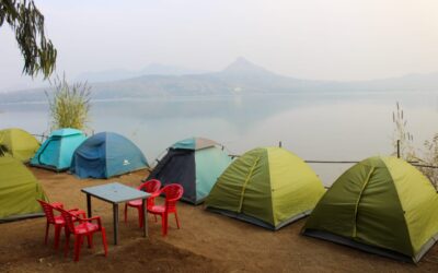 PHOTO-2020-11-24-22-57-00-1